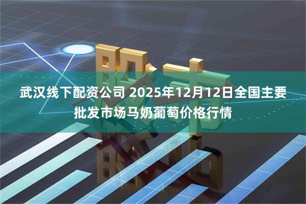 武汉线下配资公司 2025年12月12日全国主要批发市场马奶葡萄价格行情