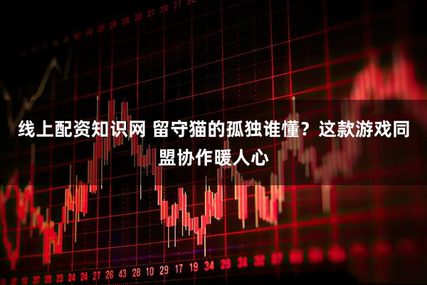 线上配资知识网 留守猫的孤独谁懂？这款游戏同盟协作暖人心